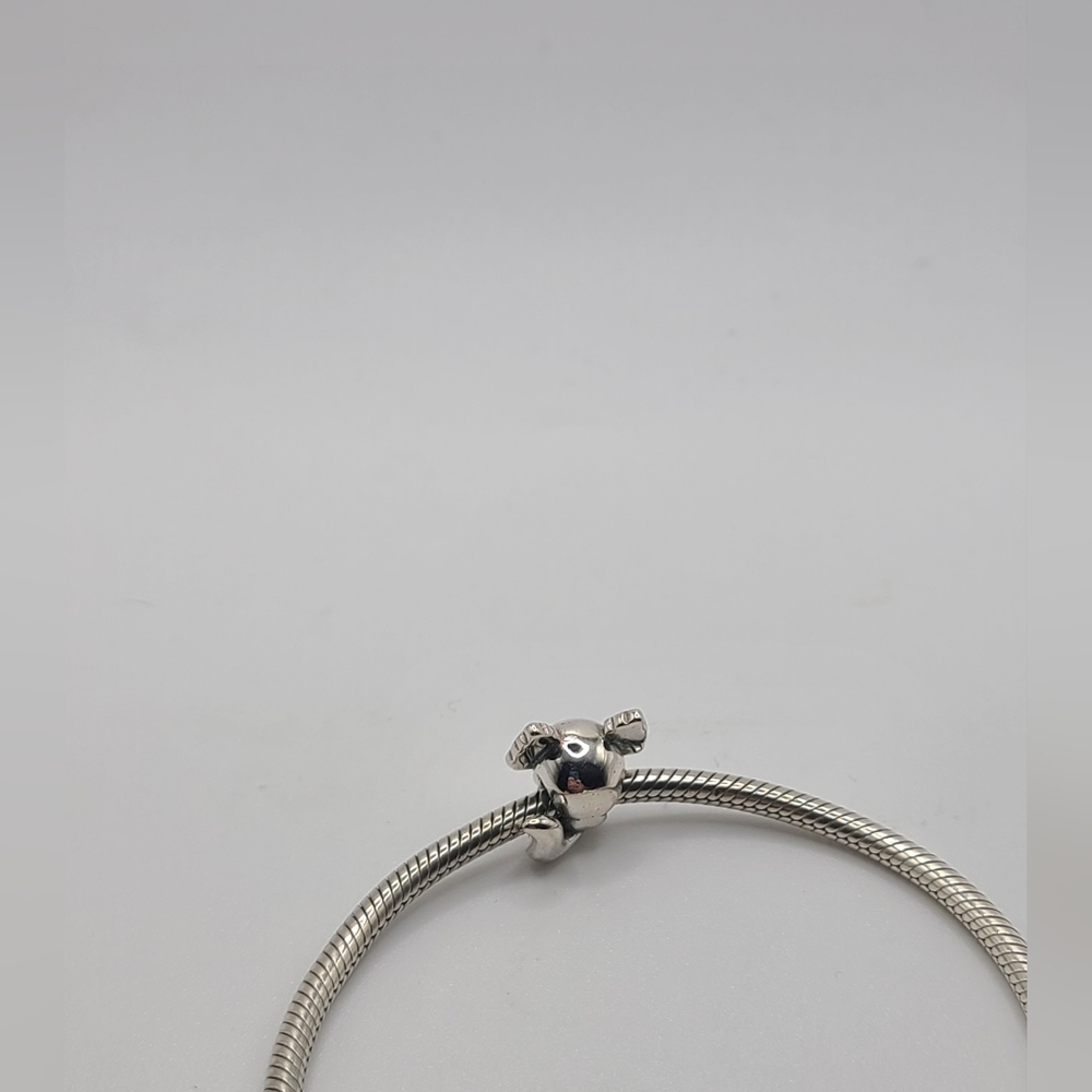 Sterling silver Axolotl Pandora charms- Not official pandora - Picture 5 of 6